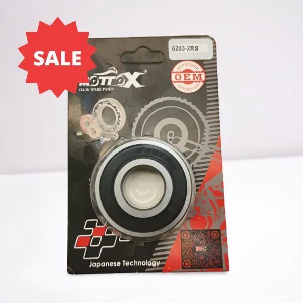 6203RS motorfietslager